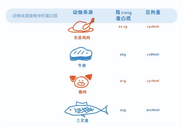 蛋白质的食物来源，蛋白质的食物来源主要是鱼虾肉蛋奶大豆及其制品